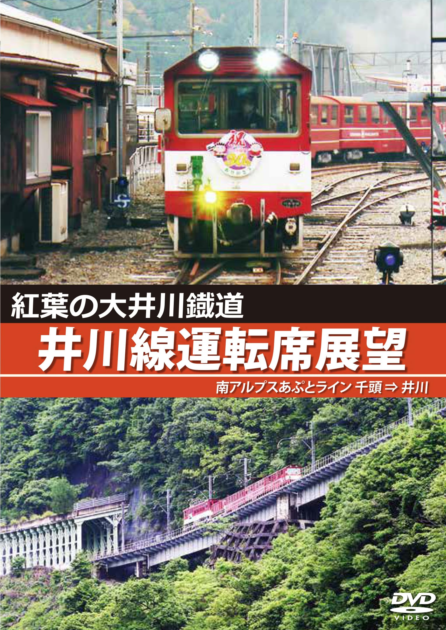 91l+j9jrv5L.jpg